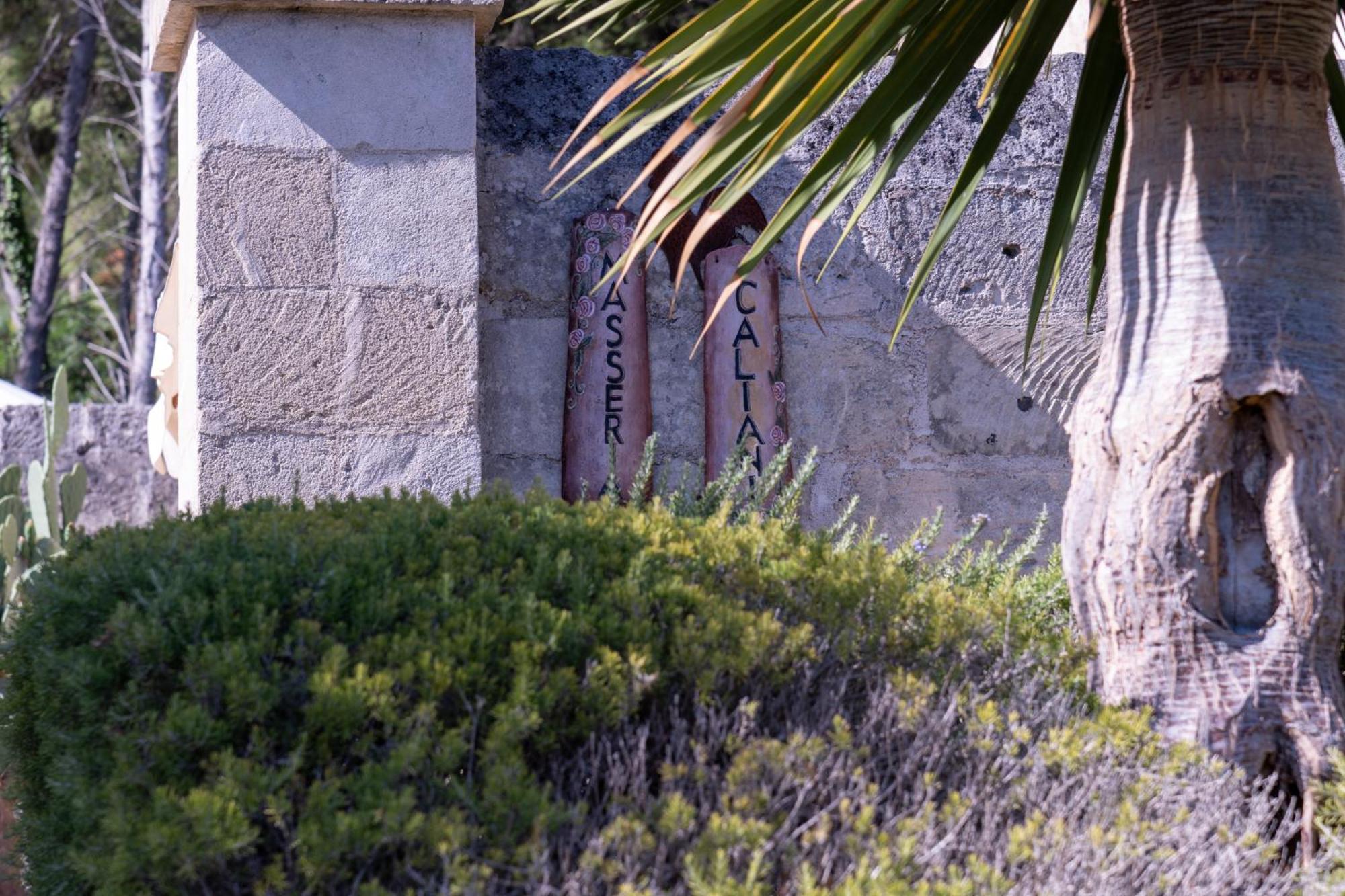 Masseria Caliani Borgagne Εξωτερικό φωτογραφία