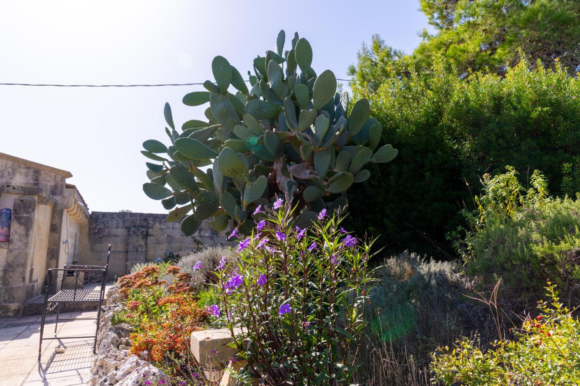 Masseria Caliani Borgagne Εξωτερικό φωτογραφία